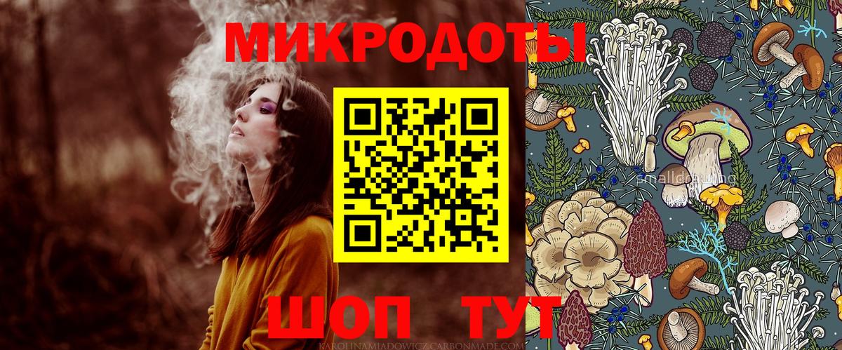 Галлюциногенные грибы Psilocybe Тимашёвск
