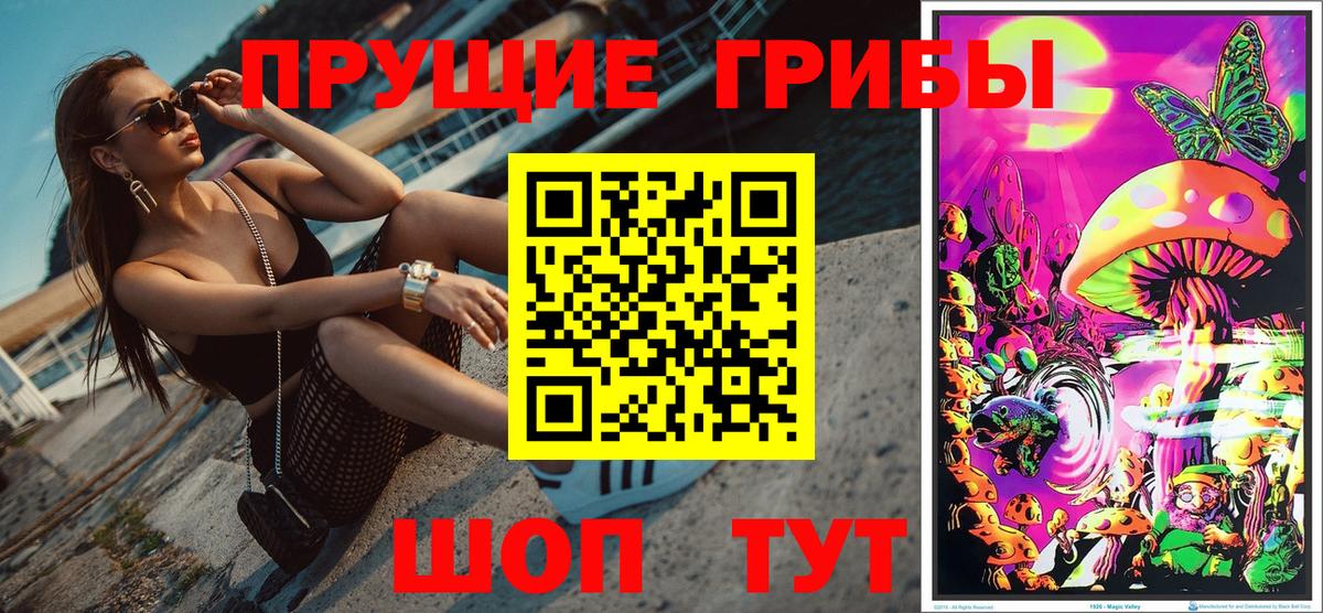 купить наркотик  Псилоцибиновые грибы Psilocybe  Вход с VPN  Тимашёвск 